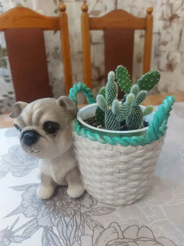 Продажа опунции - Подарочные сертификаты в Тюмень