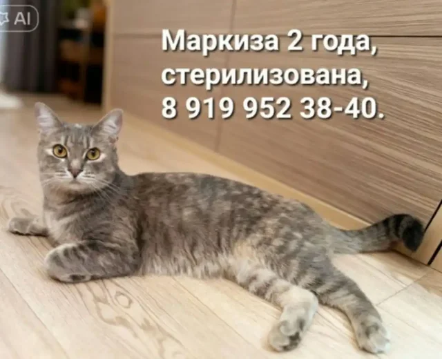 Тюмень Барахолка - Барахолка в Тюмень