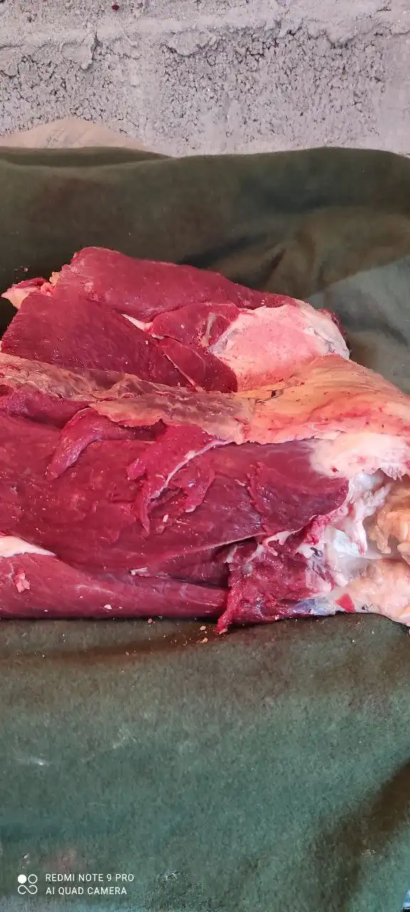 Продажа свежей говядины и языка в Тюмени - Продукты питания (Барахолка) в Тюмень