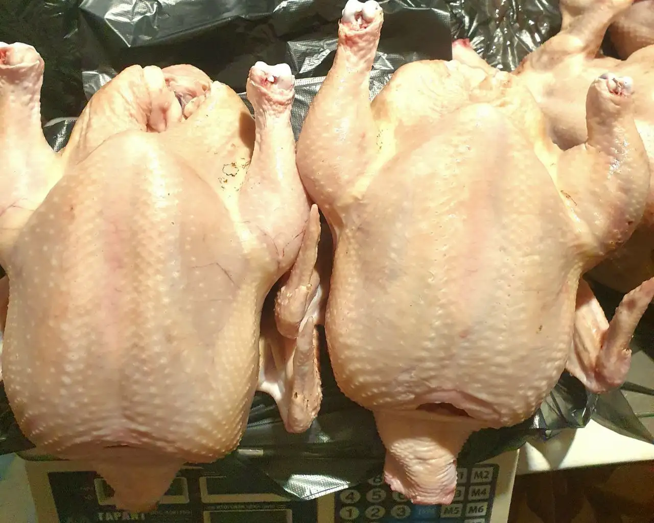 Продам мясо домашних кур бройлеров и индейки - Продукты питания (Барахолка) в Тюмень