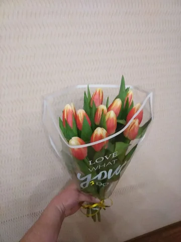 Продам тюльпаны - частное объявление в Тюмень
