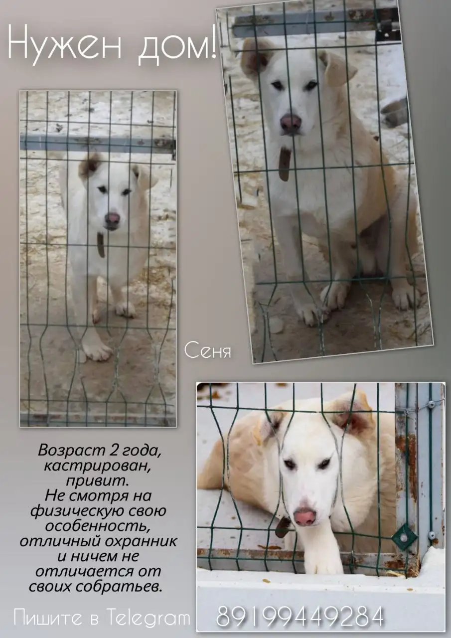 Телефон для связи - Барахолка в Тюмень