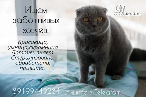 Объявление о продаже в Тюмени - Косметика в Тюмень