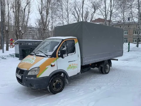Грузоперевозки Газель тент 4,2м в Тюмени - Передержка животных в Тюмень