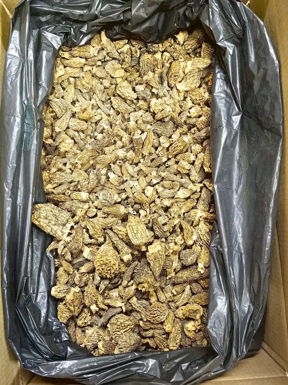 Продажа грибов разных сортов - Продукты питания (Барахолка) в Тюмень