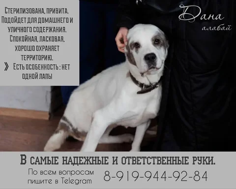 Предложение Дана - Салоны красоты в Тюмень