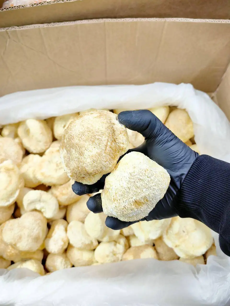 Продажа сушёных грибов - Грибы (Продукты) в Тюмень