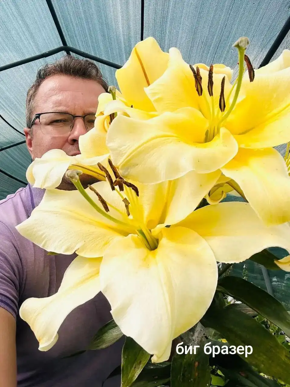 Заказ лилий на май в Черногорске