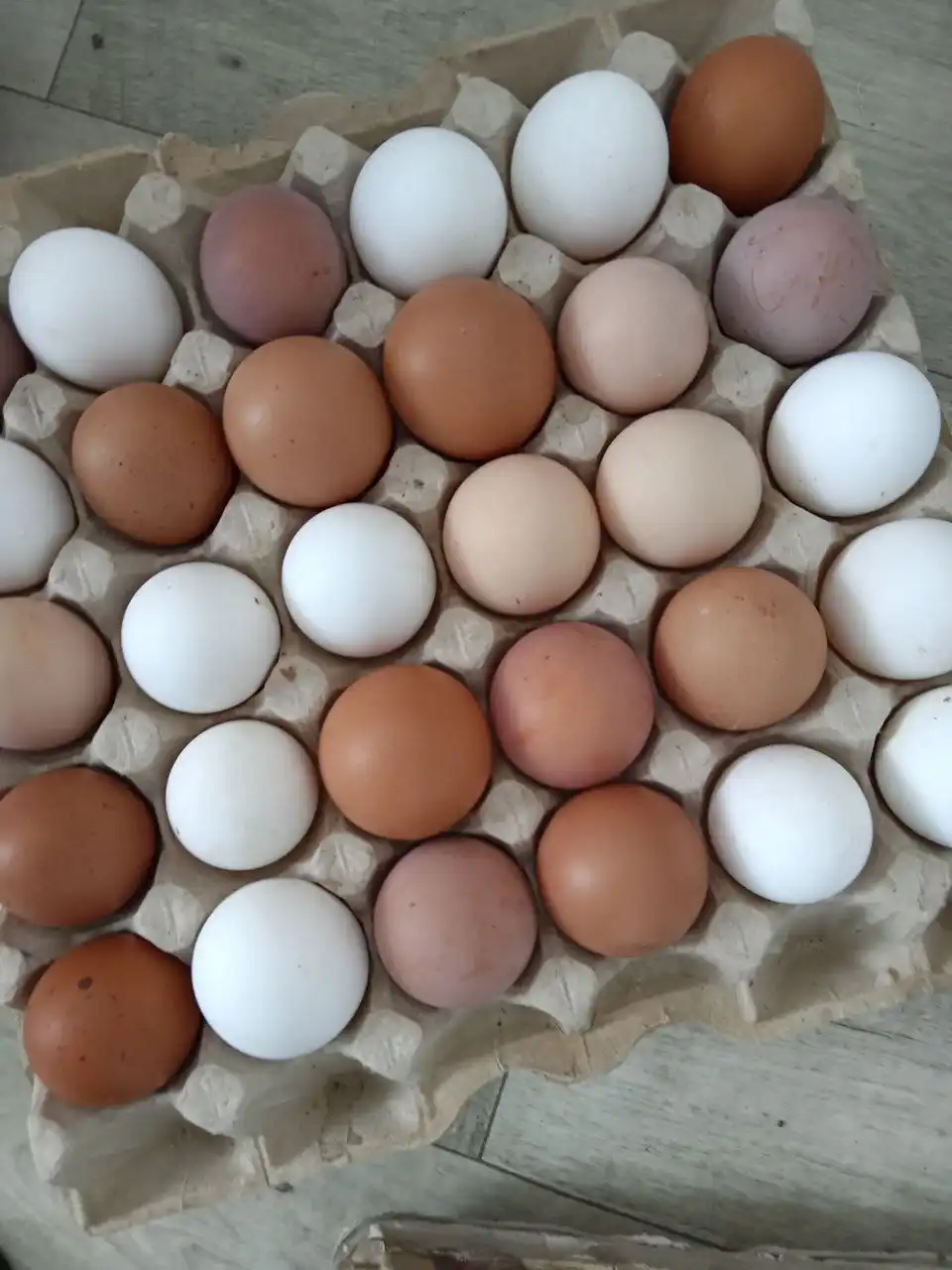 Домашние куриные яйца в Абакане - Продукты питания (Барахолка) в Абакан