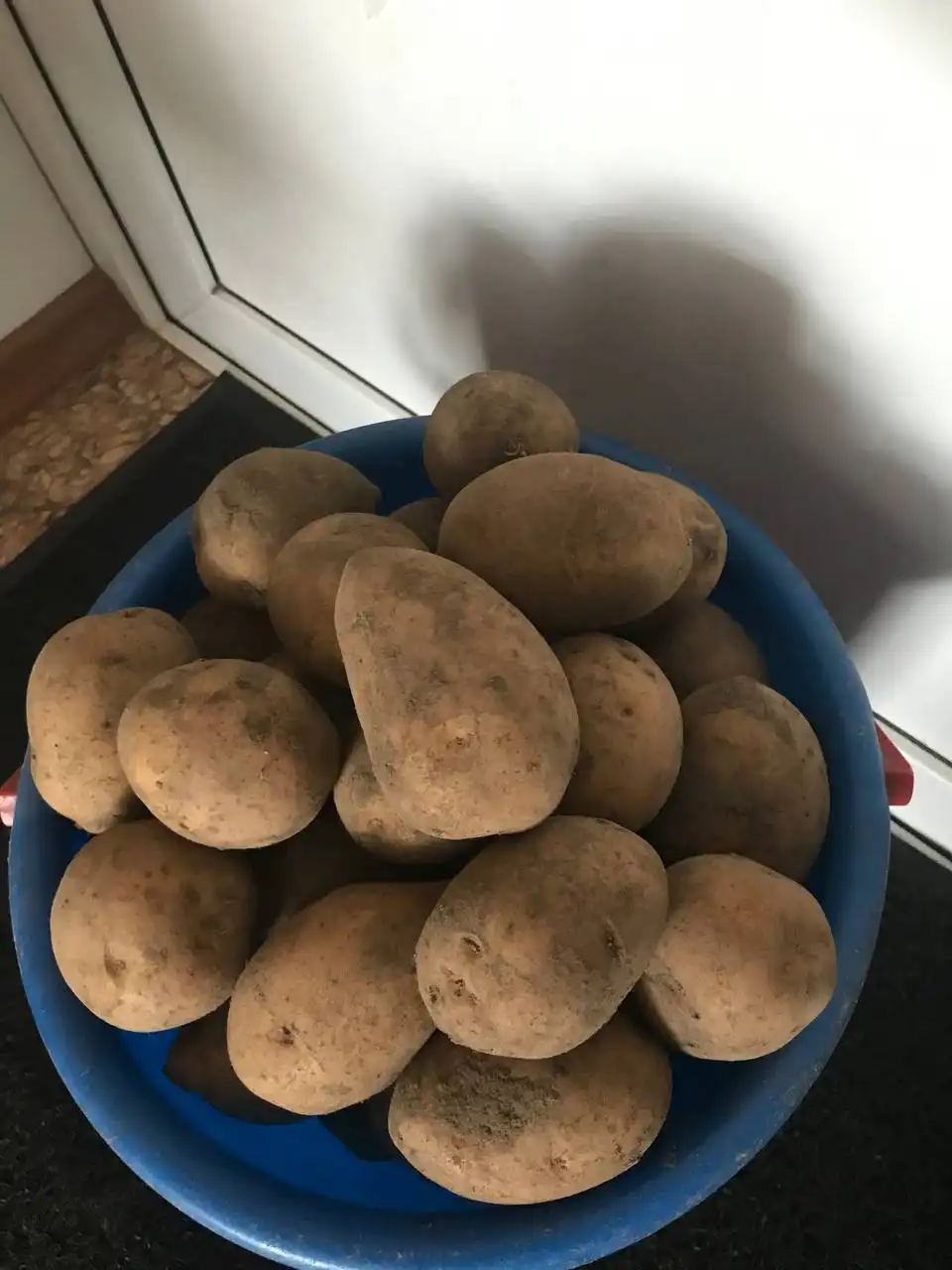 Продам домашний картофель в Чапаево - Продукты питания (Барахолка) в Чапаево