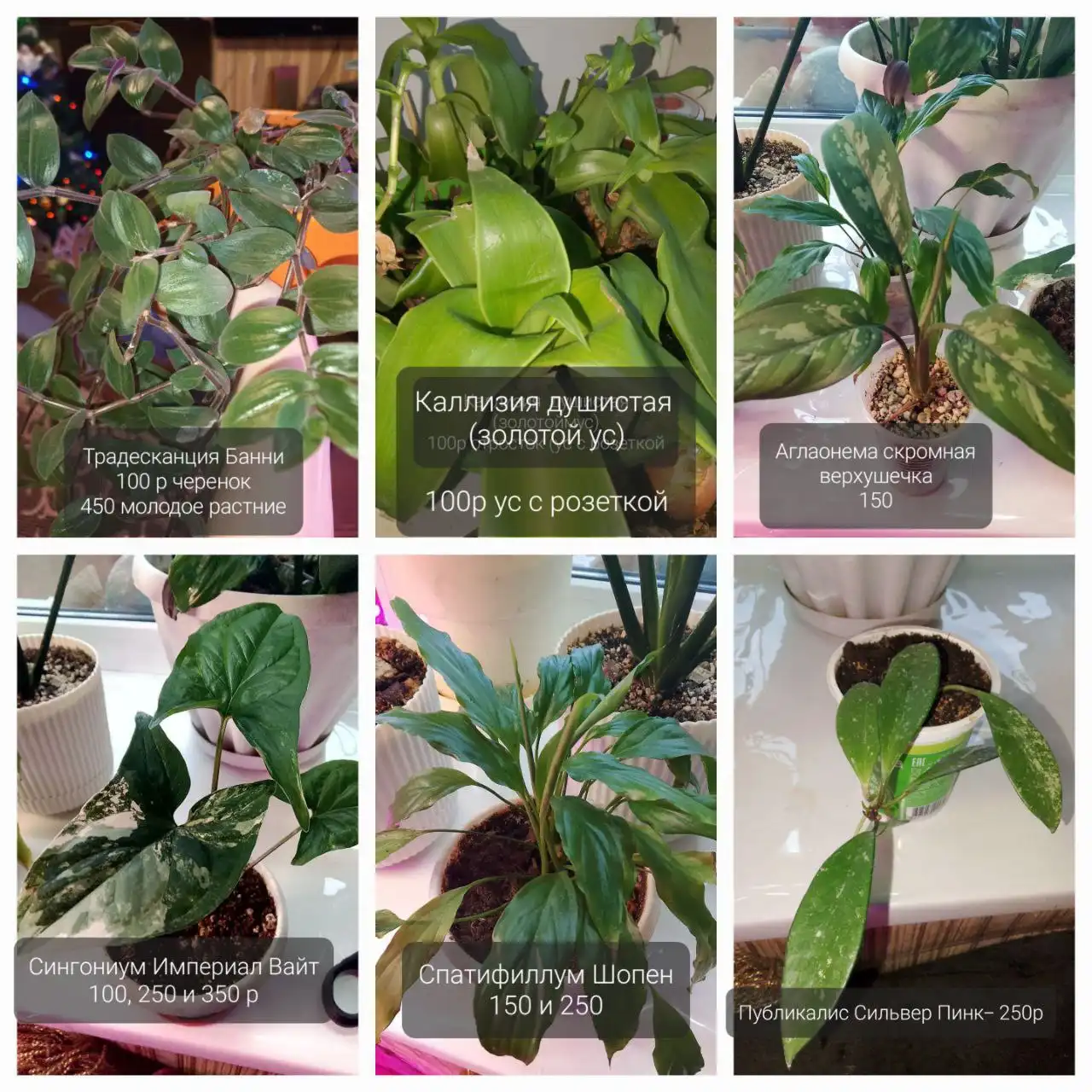 Абакан | Обмен, услуги, продажа республика Хакасия - Барахолка в Абакан