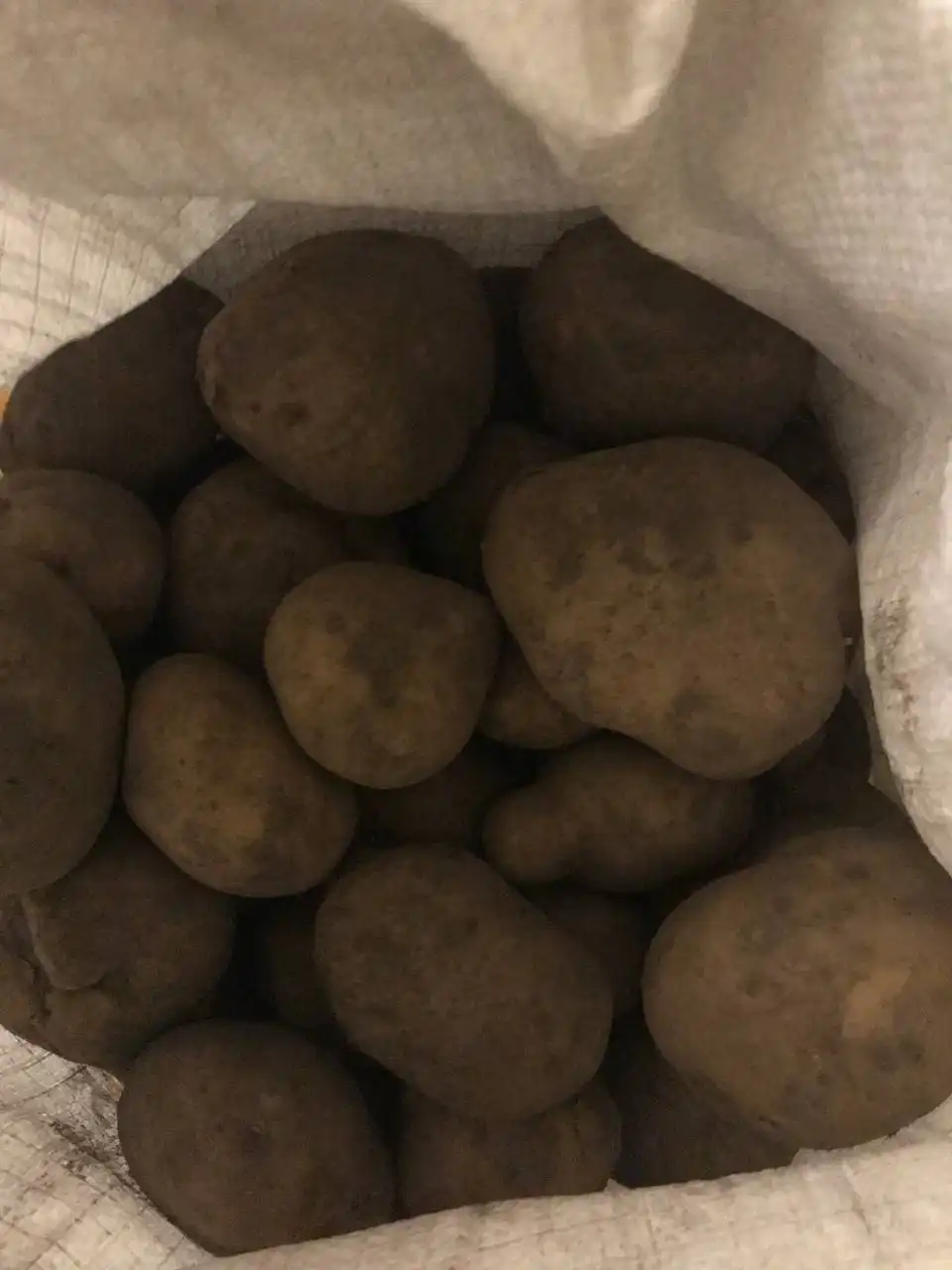 Продам домашний картофель адретта - Продукты питания (Барахолка) в Абакан