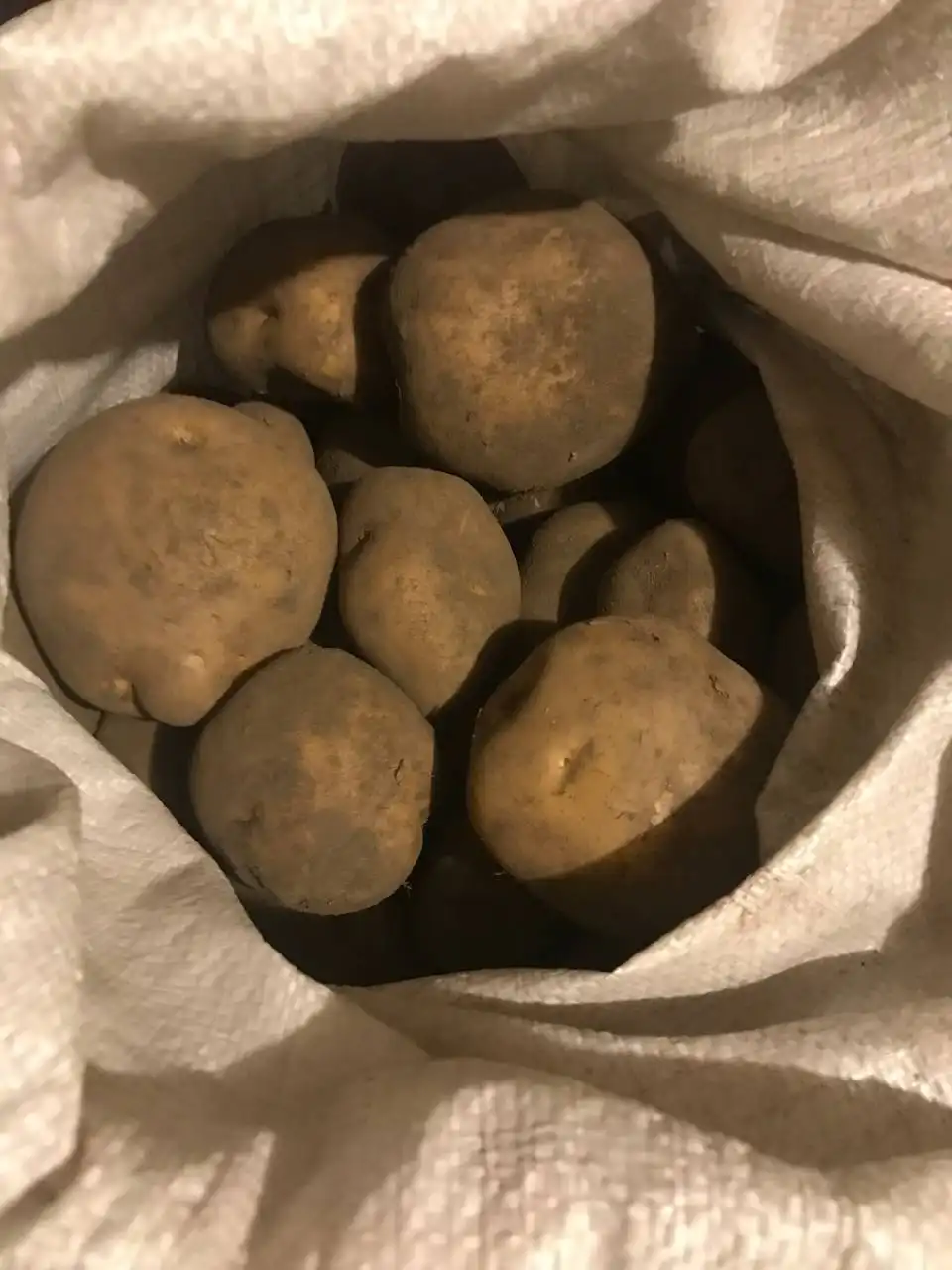 Продажа домашнего картофеля Адретта в Чапаево - Продукты питания (Барахолка) в Чапаево