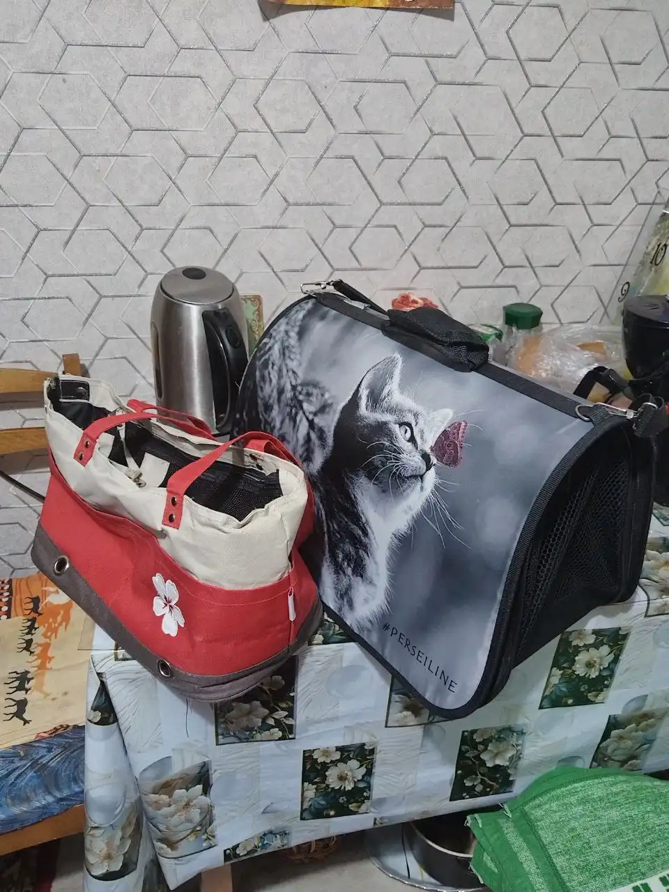 Продам переноски для кошек