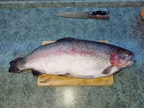 Свежая охлажденная форель с доставкой - Напитки в Сургут