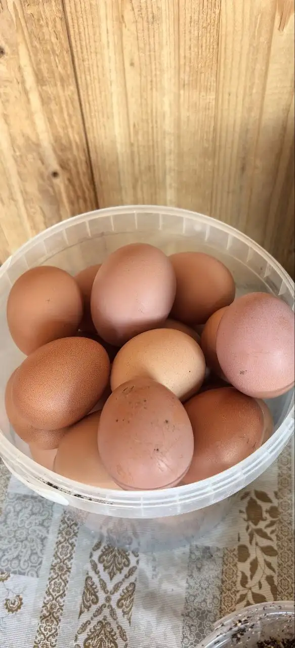 Яйца диетические домашние эко - Продукты питания в Сургут