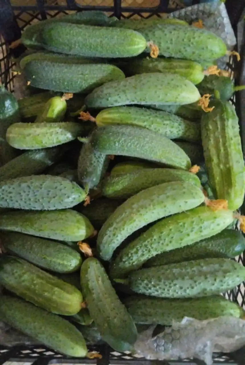 Свежие ягоды под заказ - Продукты в Москва