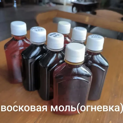 Настойка огневки (восковая моль) 250мл - частное объявление в Новокузнецк
