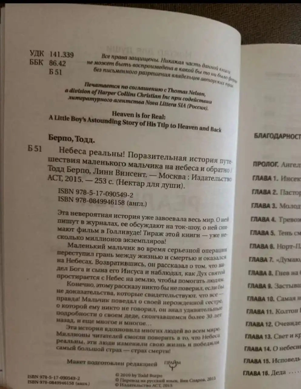 Небеса реальны! Поразительная история путешествия маленького мальчика на небеса и обратно