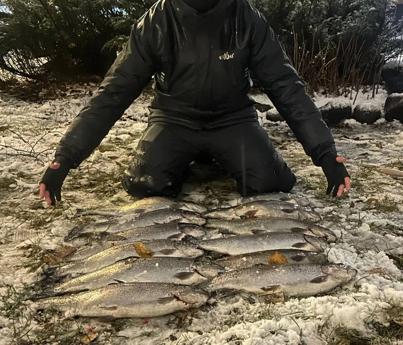 Продажа свежей форели с рыбалки