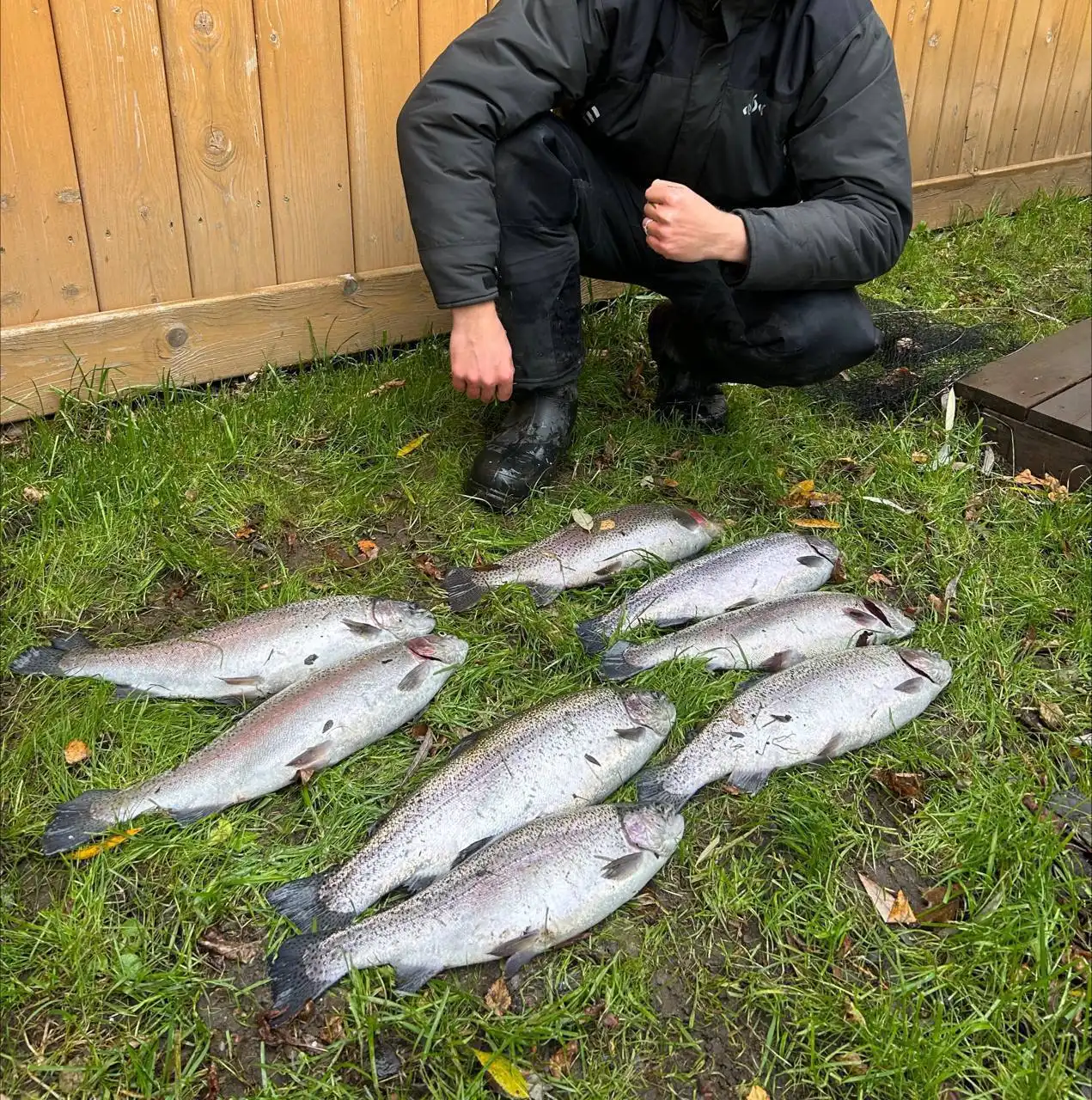 Продажа свежей форели с рыбалки