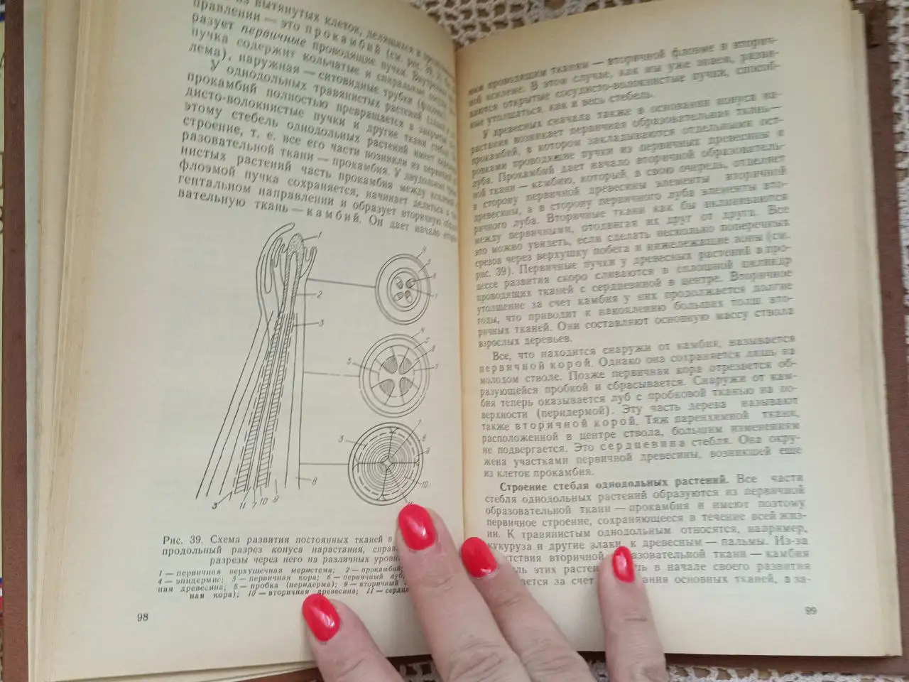 Редкий старый учебник по ботанике - Книги (Барахолка) в Москва