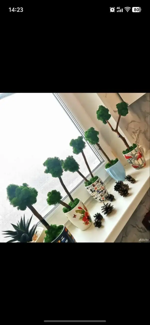 Топиарий ручной работы из стабилизированного мха - Рукоделие (Хобби и отдых) в Москва