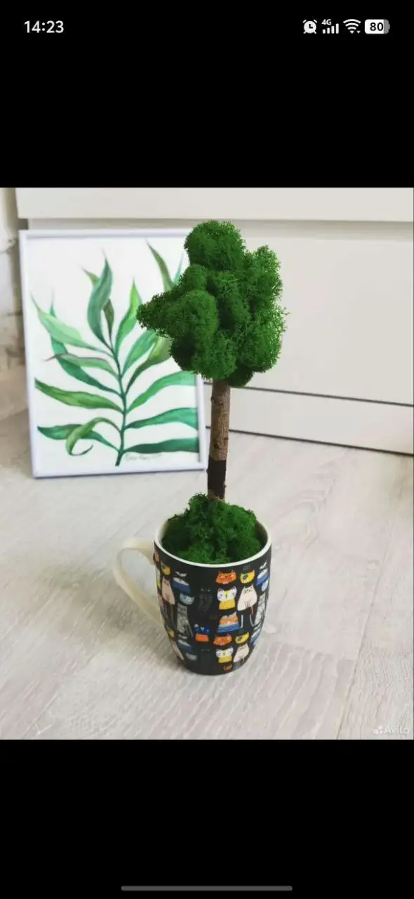 Топиарий ручной работы из стабилизированного мха - Рукоделие (Хобби и отдых) в Москва