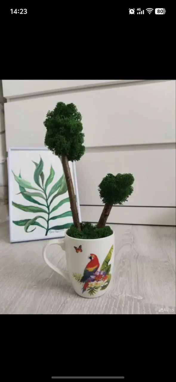 Топиарий ручной работы из стабилизированного мха - Рукоделие (Хобби и отдых) в Москва