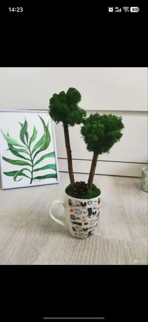 Топиарий ручной работы из стабилизированного мха - Рукоделие (Хобби и отдых) в Москва