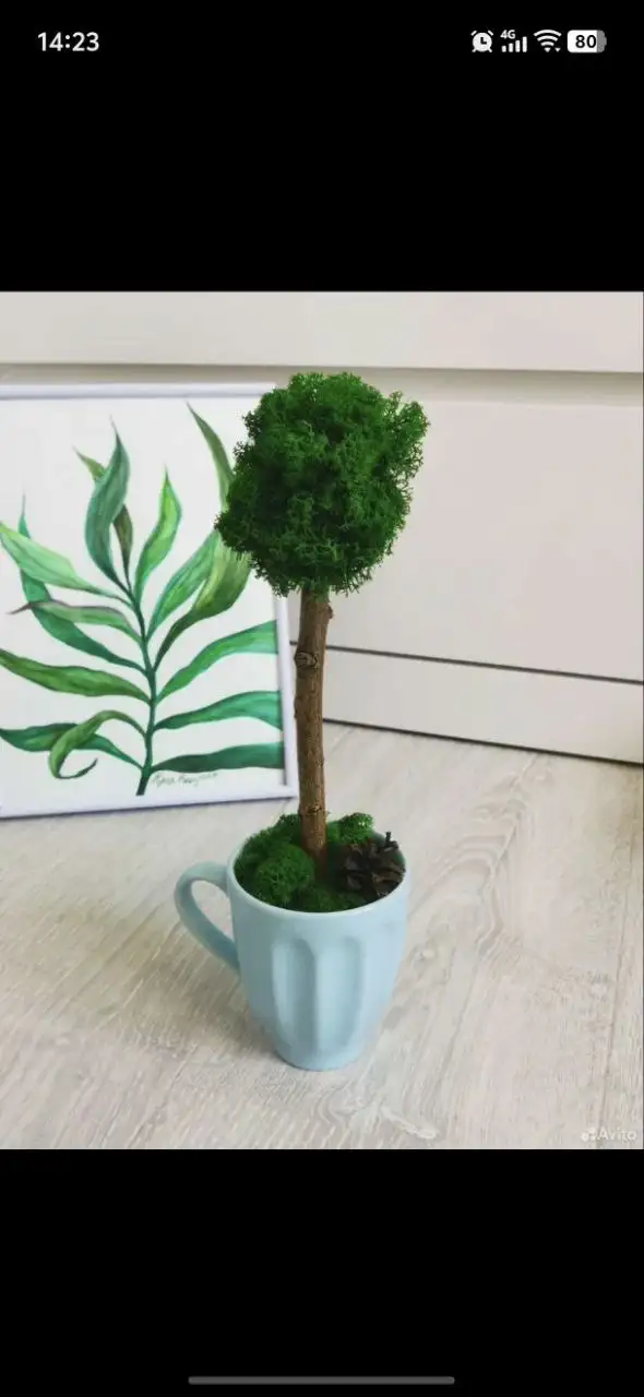 Топиарий ручной работы из стабилизированного мха - Рукоделие (Хобби и отдых) в Москва