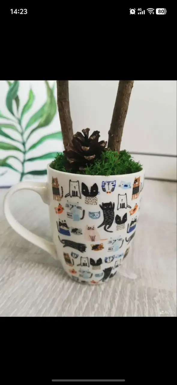 Топиарий ручной работы из стабилизированного мха - Рукоделие (Хобби и отдых) в Москва