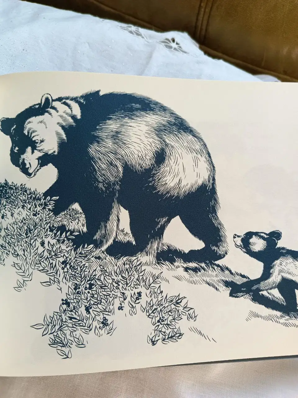 Книга новая - Книги (Хобби и отдых) в Москва