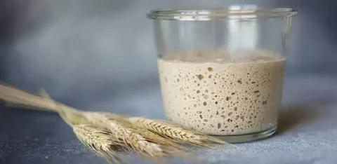 Продам бездрожжевую закваску для белого хлеба - Книги и развивающие материалы в Москва