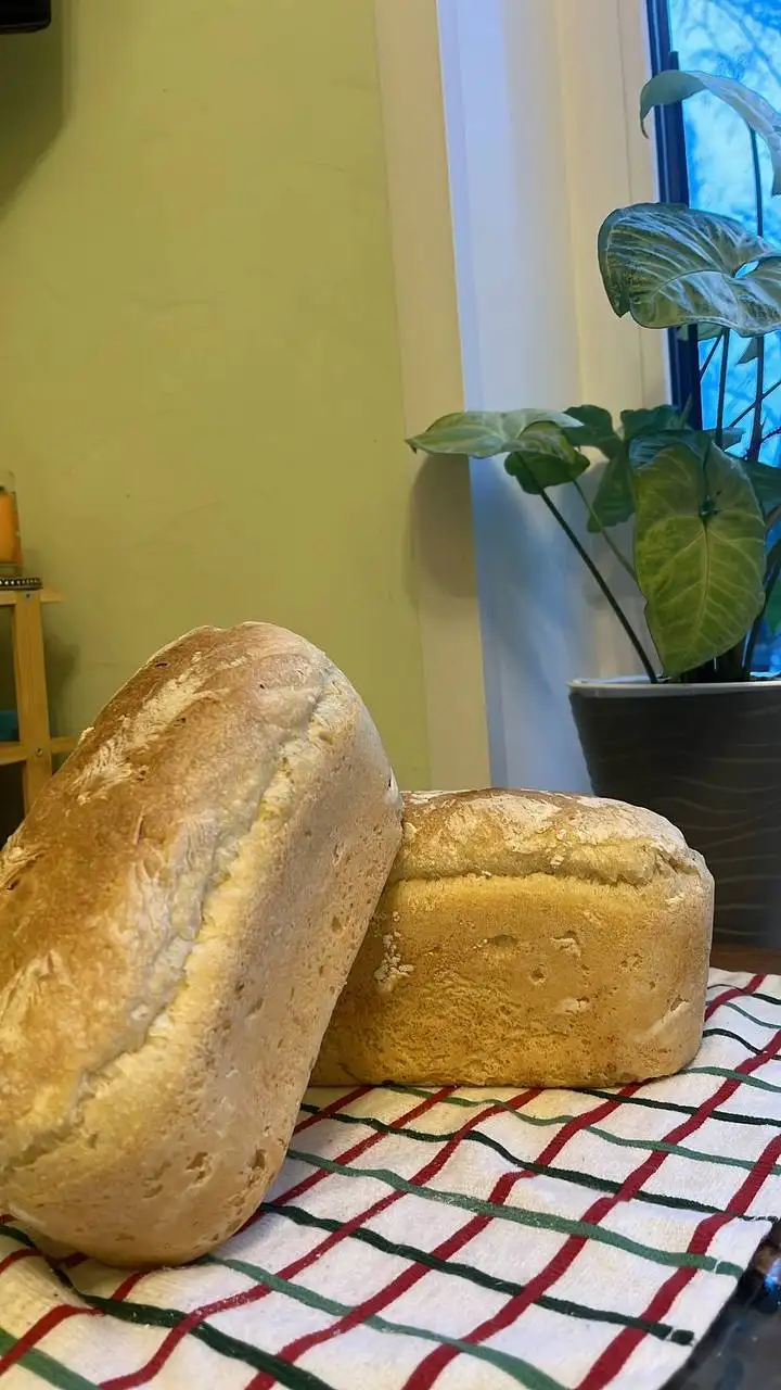 Бездрожжевая закваска для белого хлеба - Продукты питания (Барахолка) в Москва