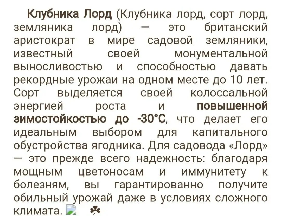 Саженцы ЗКС сорт Лорд - Растения (Для дома и дачи) в Москва