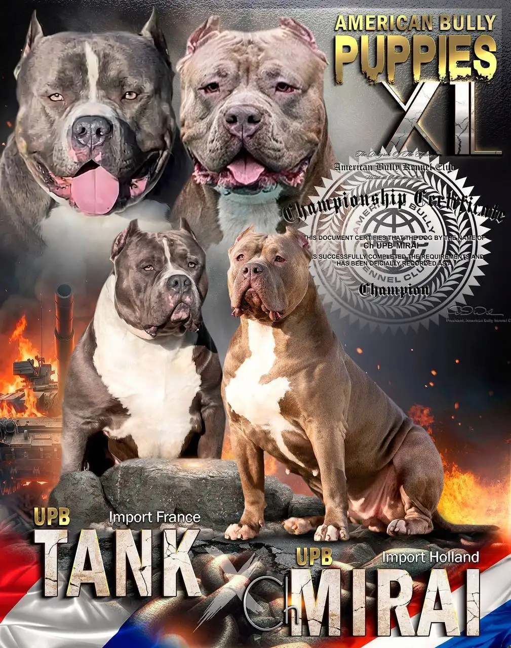 Шикарный парень в типе XL для вязки - Животные в Неизвестно