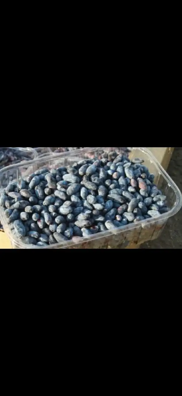 Свежие ягоды жимолости - Ягоды (Продукты питания) в Москва