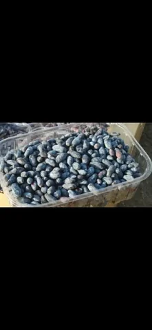 Свежие ягоды жимолости - Продукты питания в Москва