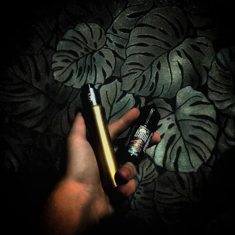 Продам ферзя с гуном - Вейп-товары в Челябинск