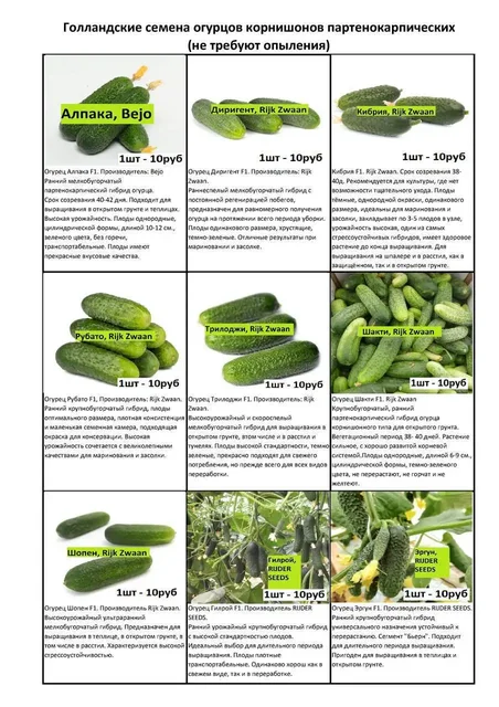 Продажа профессиональных семян огурцов и томатов - Садовые растения в Волгоград