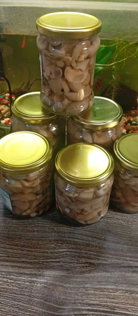 Продаю маринованные маслята - Продукты питания (Барахолка) в Волгоград