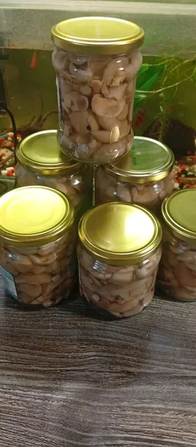 Продаю маринованные маслята - Разное в Волгоград