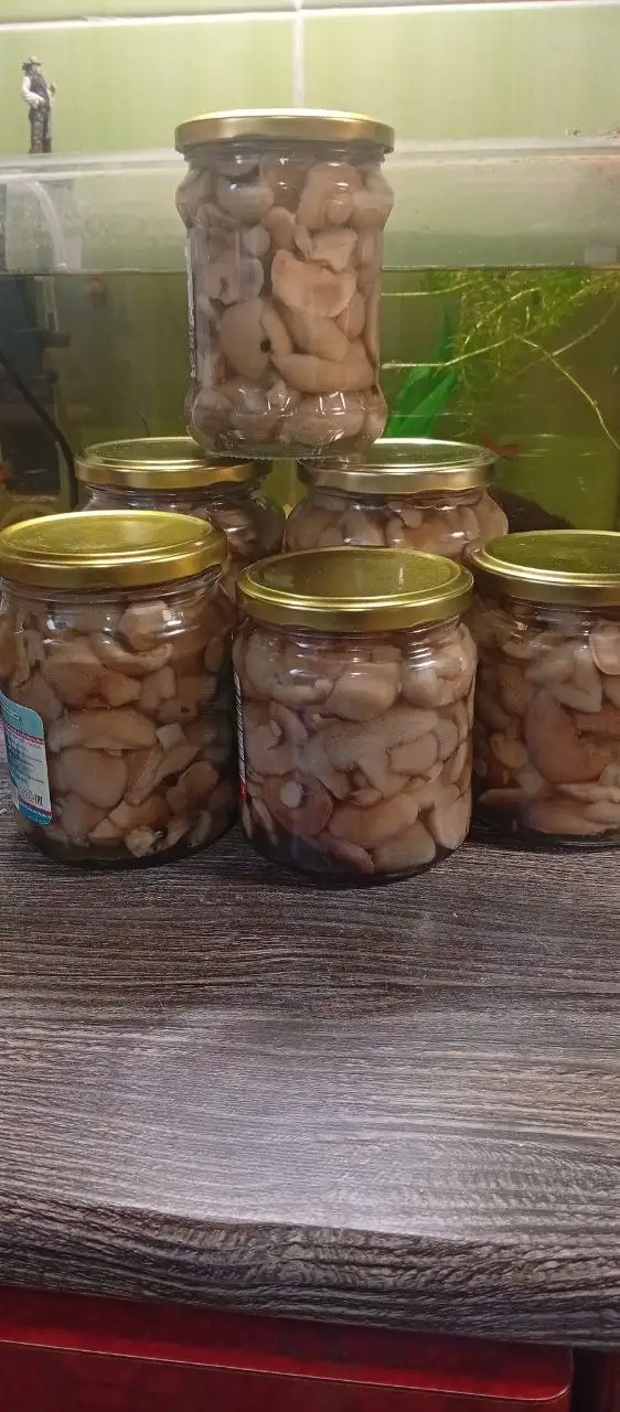 Продаю маринованные маслята - Продукты питания (Барахолка) в Волгоград