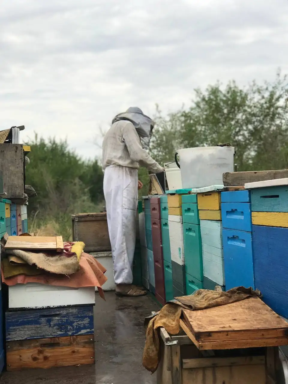 Мед майский с акации - Продукты питания (Хобби и отдых) в Волгоград