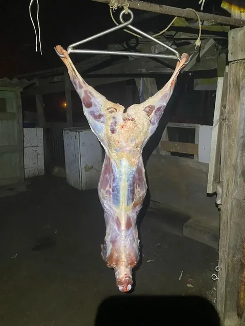 Продам баранину - Животные в Волгоград