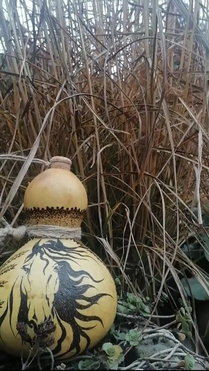 Ручная фляга из тыквы лагенарии с рисунком 2026 года