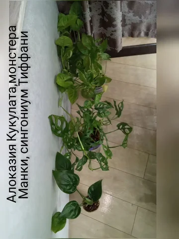 Объявление о покупке/продаже в Волгограде - Электрооборудование в Волгоград