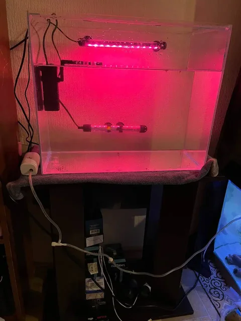 Продам аквариум 50л с тумбой - частное объявление в Волгоград