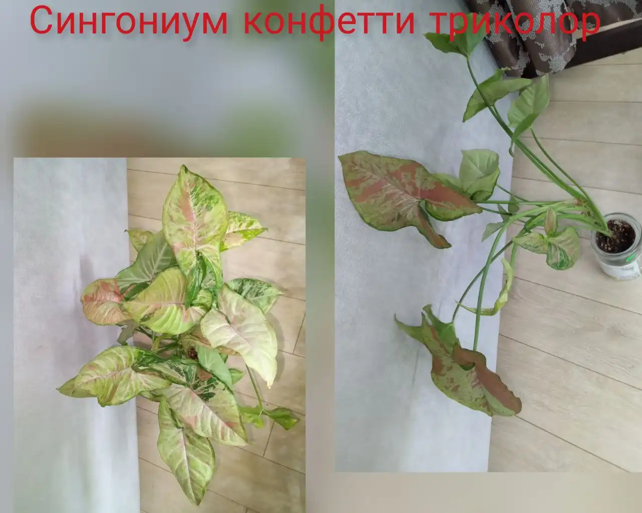 Объявление о покупке/продаже в Волгограде - Барахолка в Волгоград